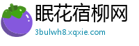 眠花宿柳网